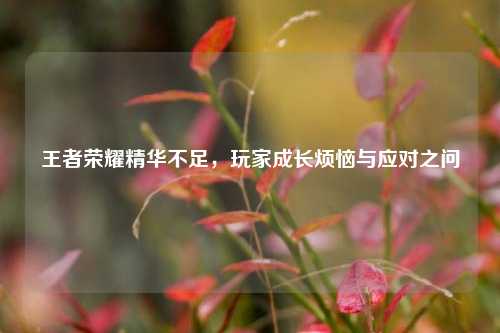 王者荣耀精华不足，玩家成长烦恼与应对之问