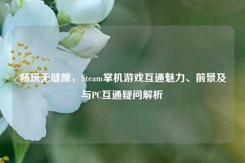 畅玩无缝隙，Steam掌机游戏互通魅力、前景及与PC互通疑问解析
