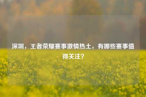 深圳,王者荣耀赛事激情热土,有哪些赛事值得关注?