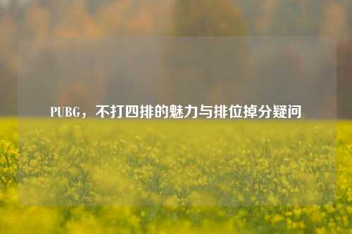 PUBG,不打四排的魅力与排位掉分疑问