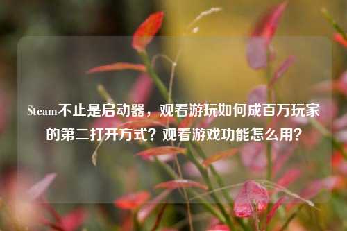 Steam不止是启动器，观看游玩如何成百万玩家的第二打开方式？观看游戏功能怎么用？