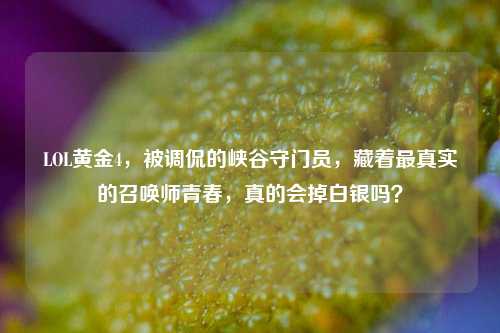 LOL黄金4,被调侃的峡谷守门员,藏着最真实的召唤师青春,真的会掉白银吗?