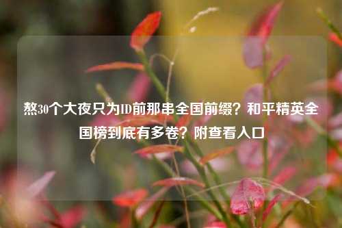 熬30个大夜只为ID前那串全国前缀?和平精英全国榜到底有多卷?附查看入口