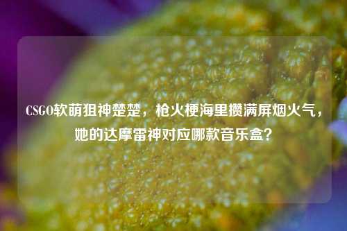 CSGO软萌狙神楚楚,枪火梗海里攒满屏烟火气,她的达摩雷神对应哪款音乐盒?