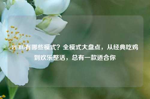 PUBG有哪些模式?全模式大盘点,从经典吃鸡到欢乐整活,总有一款适合你