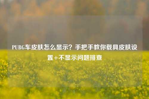 PUBG车皮肤怎么显示?手把手教你载具皮肤设置+不显示问题排查