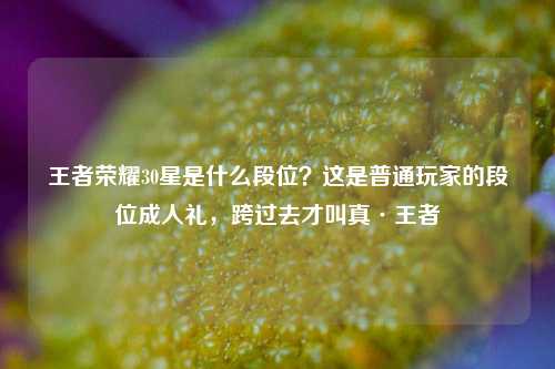 王者荣耀30星是什么段位?这是普通玩家的段位成人礼,跨过去才叫真·王者