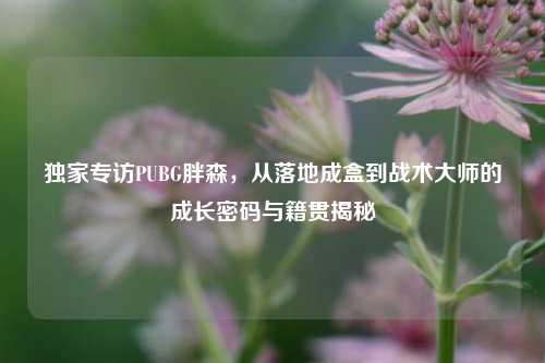 独家专访PUBG胖森,从落地成盒到战术大师的成长密码与籍贯揭秘