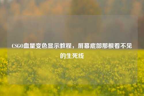 CSGO血量变色显示教程,屏幕底部那根看不见的生死线