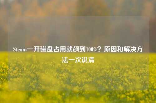 Steam一开磁盘占用就飙到100%?原因和解决方法一次说清