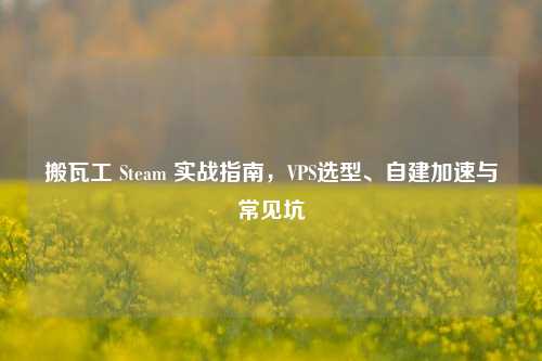 搬瓦工 Steam 实战指南,VPS选型、自建加速与常见坑