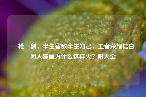 一枪一剑，半生宿敌半生知己，王者荣耀信白同人漫画为什么这样火？附大全