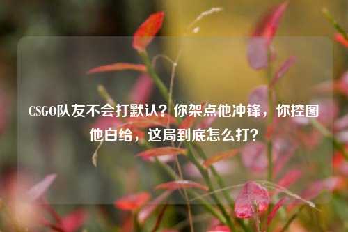 CSGO队友不会打默认?你架点他冲锋,你控图他白给,这局到底怎么打?
