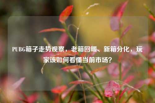 PUBG箱子走势观察,老箱回暖、新箱分化,玩家该如何看懂当前市场?