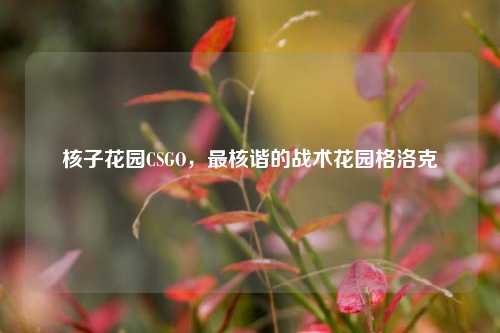 核子花园CSGO,最核谐的战术花园格洛克