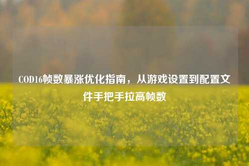 COD16帧数暴涨优化指南,从游戏设置到配置文件手把手拉高帧数