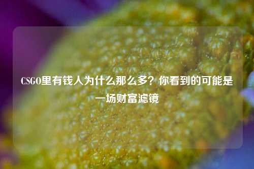 CSGO里有钱人为什么那么多？你看到的可能是一场财富滤镜