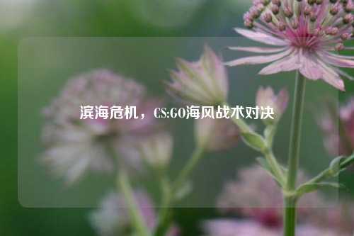 滨海危机,CS:GO海风战术对决