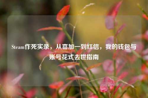 Steam作死实录,从喜加一到红信,我的钱包与账号花式去世指南
