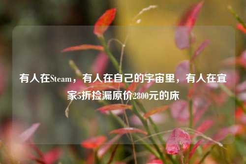 有人在Steam,有人在自己的宇宙里,有人在宜家5折捡漏原价2800元的床