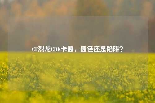 CF烈龙CDK卡盟,捷径还是陷阱?