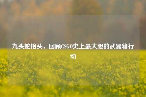 九头蛇抬头,回顾CSGO史上最大胆的武器箱行动