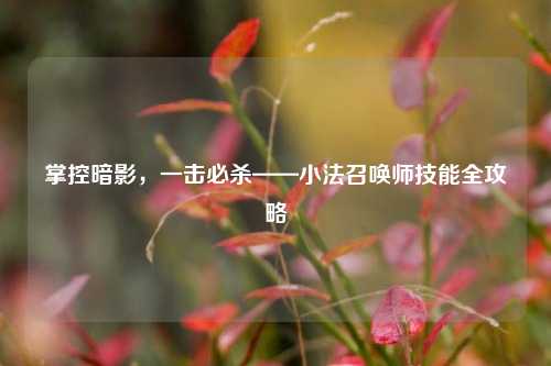 掌控暗影,一击必杀——小法召唤师技能全攻略