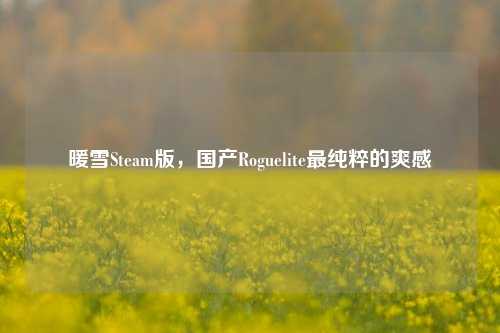 暖雪Steam版,国产Roguelite最纯粹的爽感