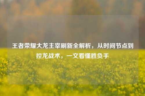 王者荣耀大龙主宰刷新全解析,从时间节点到控龙战术,一文看懂胜负手