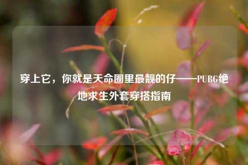 穿上它,你就是天命圈里最靓的仔——PUBG绝地求生外套穿搭指南