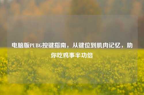 电脑版PUBG按键指南,从键位到肌肉记忆,助你吃鸡事半功倍